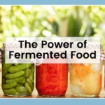 Fermented Foods Ancient Wisdom For Optimal Health